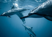 九游体育下载：一键开启你的全场景体育体验，随时随地追逐热爱